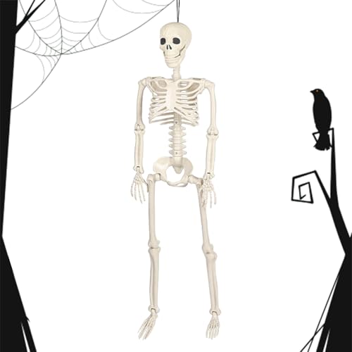Siuwddee Halloween Skelett Dekoration | Lebensgroßes Menschliches Skelett,90 cm Realistischer Menschlicher Knochen Deko Für Wohnheim Rasen Gruselhaus Garten Friedhof Siuwddee Halloween Skelett Dekoration | Lebensgroßes Menschliches Skelett,90 cm Realistischer Menschlicher Knochen Deko Für Wohnheim Rasen Gruselhaus Garten Friedhof von Siuwddee