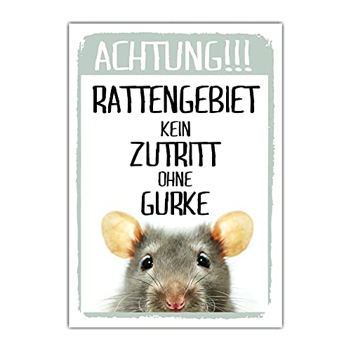 Achtung Ratte Kein Zutritt Gurke Schild lustig Spruch Türschild Warnschild Fun Metallschild von siviwonder