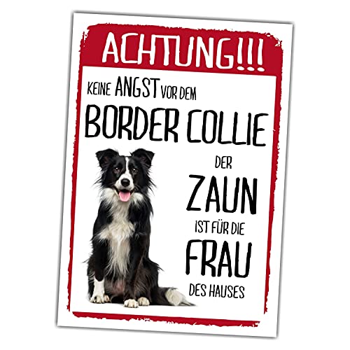 Border Collie Schild Achtung Zaun Frau Spruch Türschild Hundeschild Warnschild Fun von siviwonder
