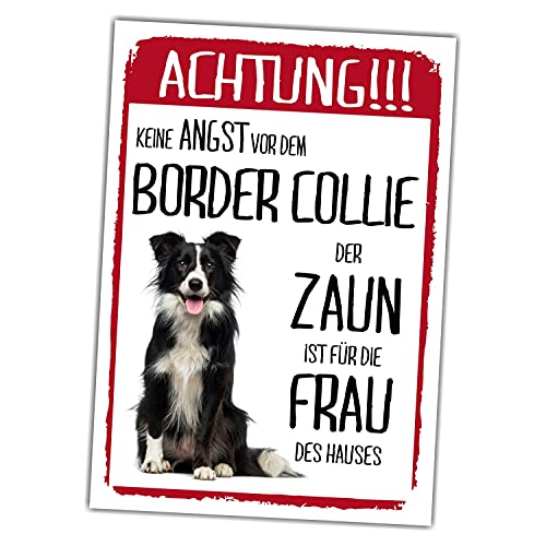 Border Collie Schild Achtung Zaun Frau Spruch Türschild Hundeschild Warnschild Geschenkidee lustiger Spruch Hundemotiv Aluminium Wetterfestes Hundeschild von siviwonder