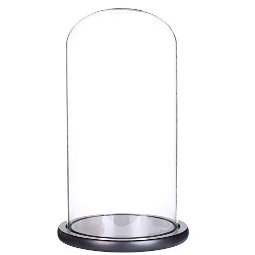 Siyaglass Glasglocke mit schwarzem Holzsockel (15 x 35 cm) von Siyaglass