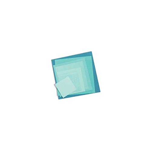 Sizzix 2118737565 Framelits Stanzenblonen, Andere, Silber, 0 von Sizzix