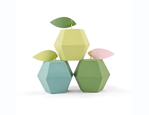 Sizzix 661739 Thinlits Plus Stanzschablonen- Set Apfel-Box von Debi Potter, Stahl, Mehrfarbig, 32.70 x 23.9 x 0.4 cm, 2 Stück von Sizzix