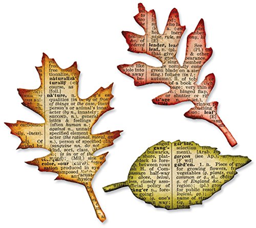 Sizzix Bigz Stanze Tattered Leaves, Stahl/Holz/Plastik, Zerlumpte Blätter, 0 von Sizzix