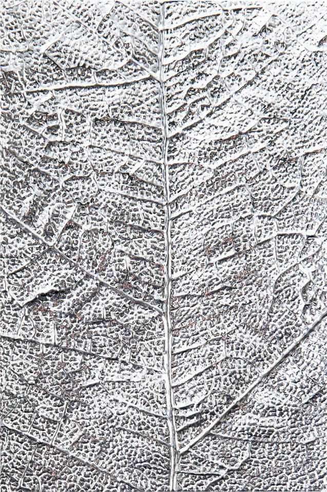 Sizzix Motivschablone 3D-Prägeschablone Leaf Veins, 15,9 cm hoch von Sizzix