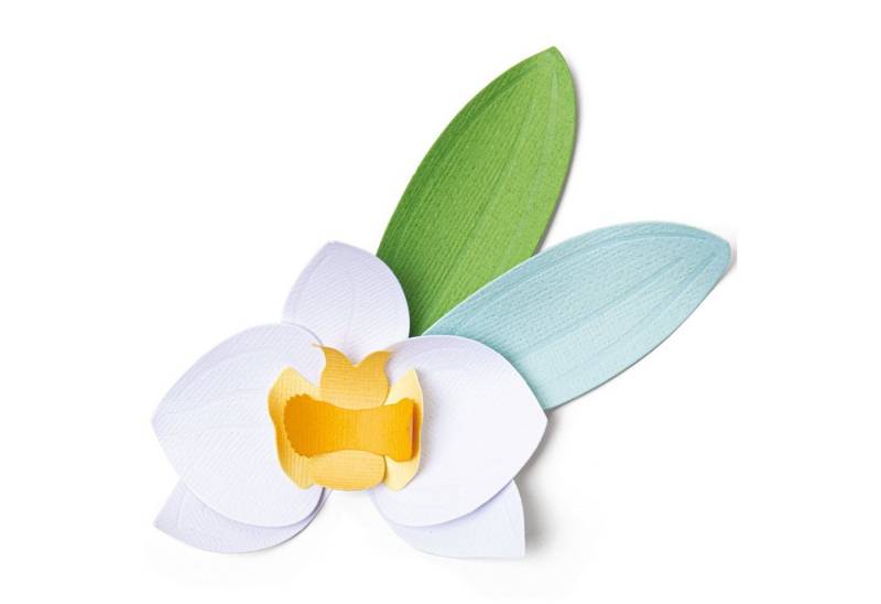 Sizzix Motivschablone Orchid, 6 Teile von Sizzix