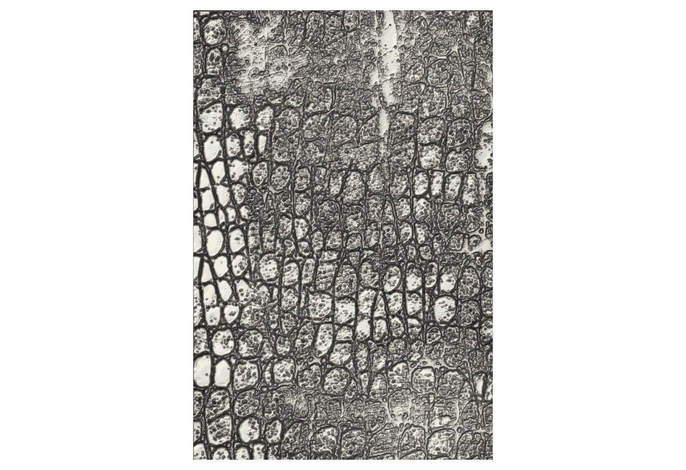 Sizzix Motivschablone Reptile by Tim Holtz, 10,8 cm x 15,9 cm Sizzix Motivschablone Reptile by Tim Holtz, 10,8 cm x 15,9 cm von Sizzix