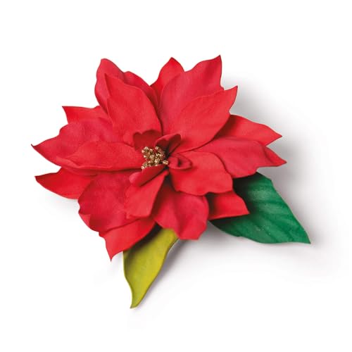 Sizzix 664817 Thinlits Stanzenset Elegant Poinsettia von Jennifer Ogborn, 5er Pack von Sizzix