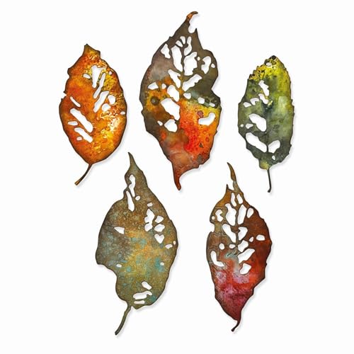 Sizzix Set Leaf Fragments by Thinlits Matrizensatz 5PK Blattfragmente von Tim Holtz, 665559, Kohlenstoffstahl, Multicolor, Einheitsgröße von Sizzix