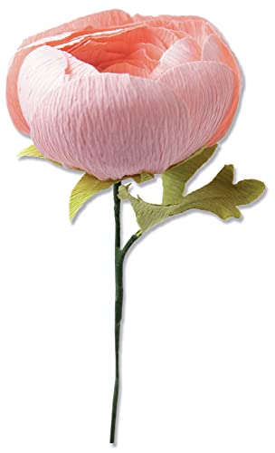Sizzix Thinlits Matrizenset 5PK Ranunculus von Olivia Rose, 664925, Kunststoff, Multicolor, Einheitsgröße von Sizzix