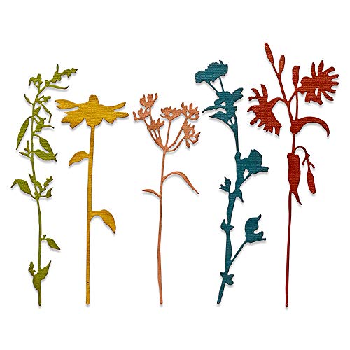 Sizzix Thinlits Stanzschablone 665221 Wildflower Vorbauten #3 von Tim Holtz 5er Pack von Sizzix