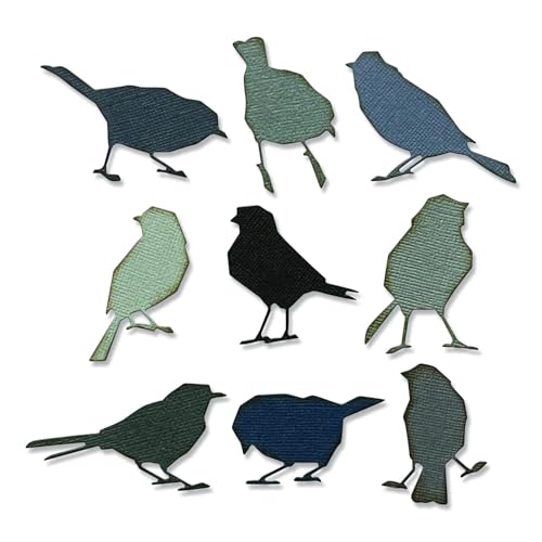 Sizzix by Chapter Thinlits Stanzschablonen-Set 9PK Silhouette Birds von Tim Holtz | 665861 |Kapitel 2 2022, Kunststoff Papier, multicolor, One Size von Sizzix