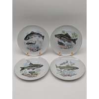 4 Keramik Teller Mit Goldrand Fischmotiv Ena Japan 60 Er Jahre Vintage von SkadivonWinterfeld