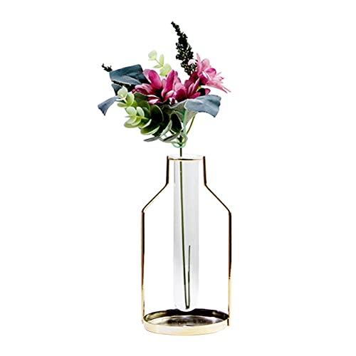 Vase aus Eisen Blumenvase Reagenzglas Pflanzenhalter Glasvase Hängende Iron Luftpflanzen Halter Wandbehang Pflanzgefäß Kleine Vasen für Zuhause Tisch Party Hochzeit Dekoration (Gold-Klein) von Skeadex