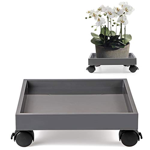 Skelang Blumentopfständer auf Rädern, Pflanzenständer, ABS-Untersetzer auf Rädern, zum Bewegen von Topfpflanzen, Brückenblumenpflanzen, Tragfähigkeit 50 kg (quadratisch) von Skelang