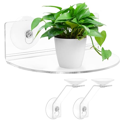 Skewo 2er-Pack Acryl-Fenster-Pflanzregale mit Saugnäpfen & Halterungen - halbrunde Fensterbank-Erweiterung für Kräutertöpfe, Sukkulenten, Blumenkästen, Micro Greens | Innen-/Außeneinsatz (Kreis) von Skewo