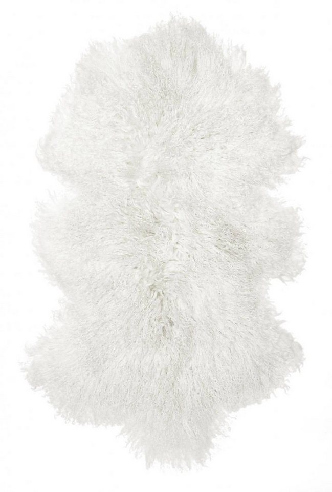 Skinnwille Home Fellteppich Shansi Tibetlamm 55 x 95 cm Skinnwille Home Fellteppich Shansi Tibetlamm 55 x 95 cm von Skinnwille Home
