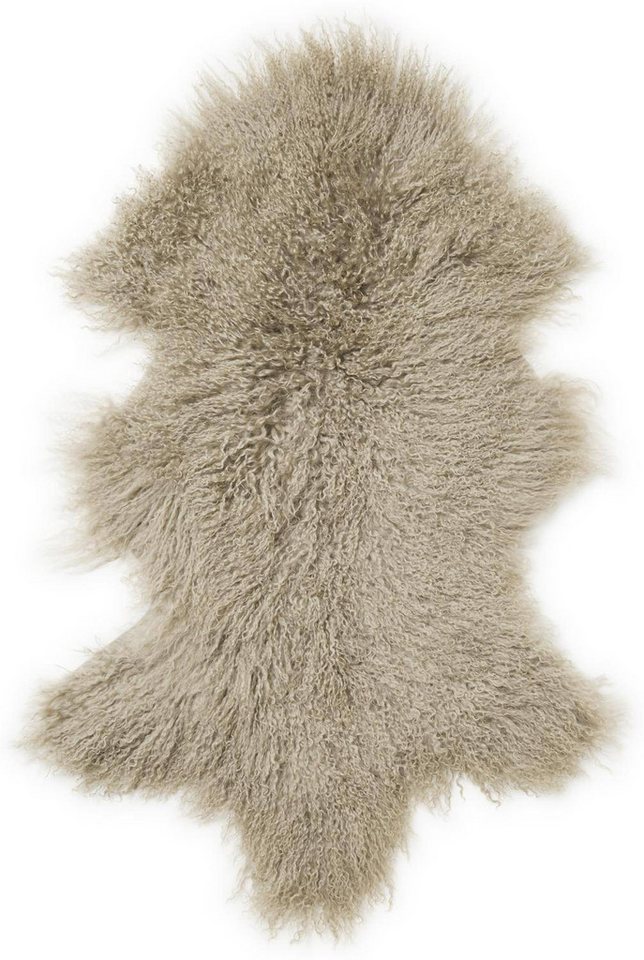 Skinnwille Home Fellteppich Shansi Tibetlamm 55 x 95 cm Skinnwille Home Fellteppich Shansi Tibetlamm 55 x 95 cm von Skinnwille Home
