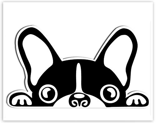 SkinoEu® 1 x Vinyl Aufkleber Autoaufkleber Sticker Dog Hund Französische Bulldogge Auto Moto Motorrad Fahrrad Skate Helm Fenster Spiegel Tür Tuning B 88 von SkinoEu