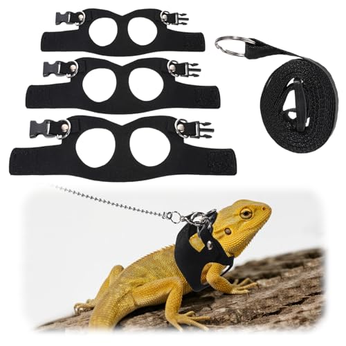 Bartdrachengeschirr-Set 3 Größen, Einstellbar BäRtiger Drache Eidechsengeschirr Und Leine Weiches Leder Bartagamen-Geschirr mit Seil Führen, Bearded Dragon Lizard Leash Harness für Outdoor Reptilien von Skrfren