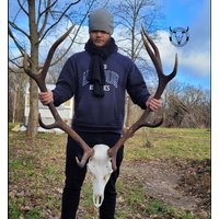 Rehgeweih-Set Mit Echtem Rehschädel | Paar Hirschgeweihe Rotwild-Geweih Bausatz Zum Selbstbau Hirsch Trophäe von SkullTendation