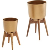 WOHNLING Blumentopf 2er Set Metall Holz Pflanzenkübel Gold Rund Pflanzgefäß WOHNLING Blumentopf 2er Set Metall Holz Pflanzenkübel Gold Rund Pflanzgefäß von Skyport