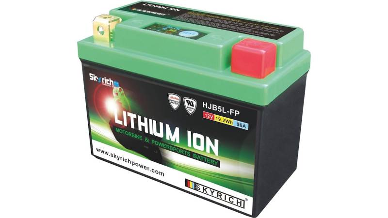 Skyrich LiFePO4 Batterie wartungsfrei von Skyrich