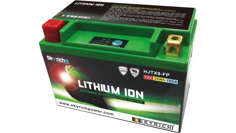 Skyrich LiFePO4 Batterie wartungsfrei von Skyrich