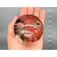Versteinertes Holz, Kristallkugel, Holz Kugel | W5 von SkyyGems