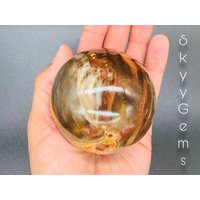 Versteinertes Holz, Kristallkugel, Holzkugel | W3 von SkyyGems