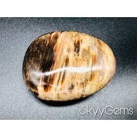 Versteinertes Holz Handstein, Versteinertes Holz, | A2 von SkyyGems