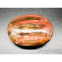 Versteinertes Holz Palmenstein, Achatisiertes Holz, Stein, | A5 von SkyyGems