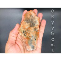 Versteinertes Holz Scheibe, Achatisiertes Holz, Stein, Platte, Mineralplatte, | 7 von SkyyGems