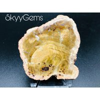 Versteinertes Holz Scheibe, Achatisiertes Holz, Stein, Platte, Mineralplatte, | 8 von SkyyGems