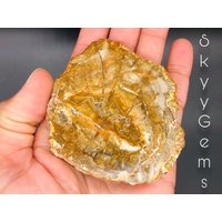 Versteinertes Holz Scheibe, Agatisiertes Holz, Stein, Versteinerte Platte, Mineral Specimen, | 2 von SkyyGems