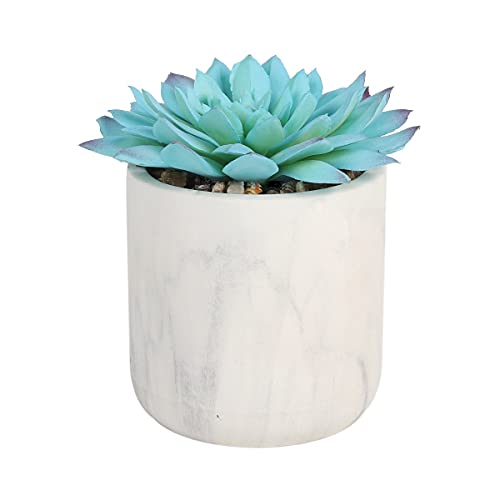 Sleepdown Halo Blaue künstliche Pflanze Sukkulenten weißer Topf für Zuhause, Büro, Badezimmer, Dekoration, Innendekoration, Ästhetik von Sleepdown