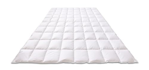 Sleepwell Comfort von Sleepwell