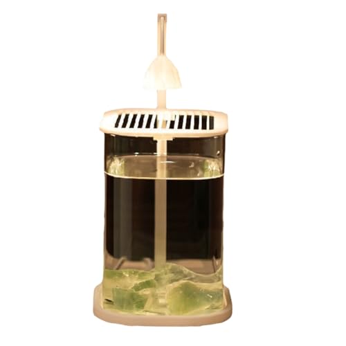 Slicooken Mini-Desktop-Glas-Aquarium-Fischtank mit Farbiger Kristall LED Light High-End-Zierlampegr¡§1n Kristallstein von Slicooken