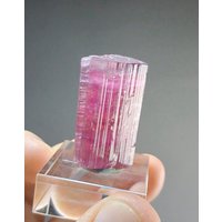Intensely Pink Turmalin - Rubellit Kristall Aus Paprok 20 G von SlivaMinerals