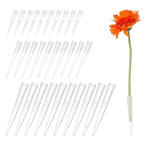Sliverdew 30 Stück Blumen Wasserröhrchen Torte Blumen Röhrchen Blumenröhrchen für Kuchen Dekorieren Wiederverwendbare und Langlebige Blumenröhrchen für Geburtstagstorte, Hochzeitstorte Deko Sliverdew 30 Stück Blumen Wasserröhrchen Torte Blumen Röhrchen Blumenröhrchen für Kuchen Dekorieren Wiederverwendbare und Langlebige Blumenröhrchen für Geburtstagstorte, Hochzeitstorte Deko von Sliverdew