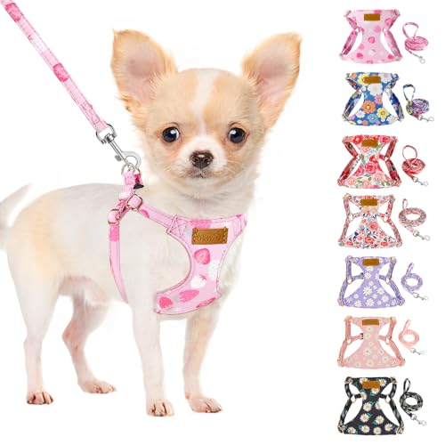 SlowTon Hundegeschirr mit Leine, No-Pull leichtes weiches Wildleder-Welpengeschirr mit Blumenmuster und Schnappschnalle, verstellbares Geschirr Hund für kleine und mittelgroße Hunde(Blau, XS) von SlowTon