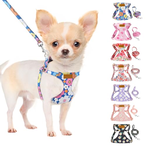 SlowTon Hundegeschirr mit Leine, No-Pull leichtes weiches Wildleder-Welpengeschirr mit Blumenmuster und Schnappschnalle, verstellbares Geschirr Hund für kleine und mittelgroße Hunde(Blau, XS) von SlowTon