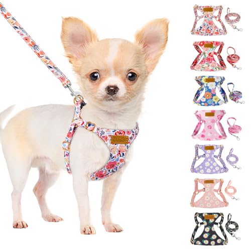 SlowTon Hundegeschirr mit Leine, No-Pull leichtes weiches Wildleder-Welpengeschirr mit Blumenmuster und Schnappschnalle, verstellbares Geschirr Hund für kleine und mittelgroße Hunde(Blumen, XXS) von SlowTon