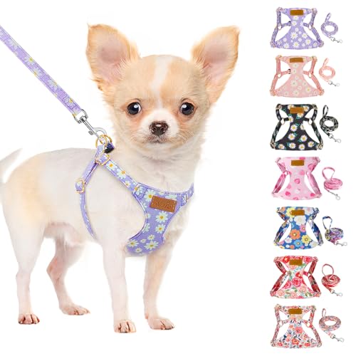SlowTon Hundegeschirr mit Leine, No-Pull leichtes weiches Wildleder-Welpengeschirr mit Blumenmuster und Schnappschnalle, verstellbares Geschirr Hund für kleine und mittelgroße Hunde(Lila, S) von SlowTon