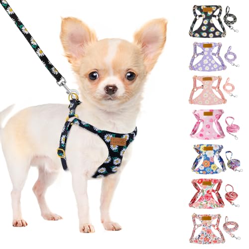 SlowTon Hundegeschirr mit Leine, No-Pull leichtes weiches Wildleder-Welpengeschirr mit Blumenmuster und Schnappschnalle, verstellbares Geschirr Hund für kleine und mittelgroße Hunde(Schwarz, XS) von SlowTon