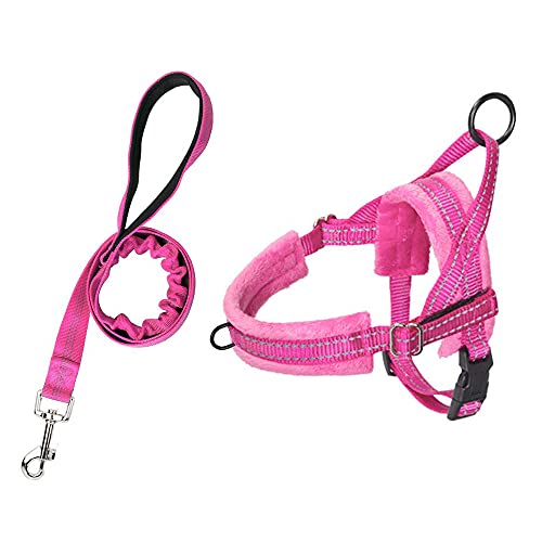 SlowTon Hundegeschirr mit Leine, Anti-Zug Geschirr, Verstellbare Reflektierend Welpengeschirr Brustgeschirr Sicherheitsgeschirr Anti-Erstickung Brustgeschirr für Kleine, Mittelgroße Hunde & Welpen von SlowTon