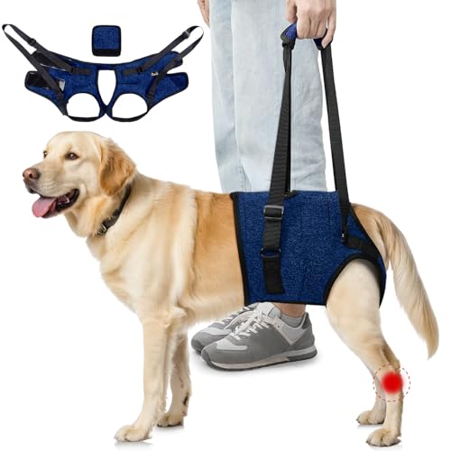 SlowTon Unterstützungsgeschirr für Hinterbeine Geschirr für mittelgroße Hunde - Bequemes, verstellbares Hebegeschirr für ältere, verletzte, arthritische, behinderte Hunde zur Rehabilitation (Blau, S) SlowTon Unterstützungsgeschirr für Hinterbeine Geschirr für mittelgroße Hunde - Bequemes, verstellbares Hebegeschirr für ältere, verletzte, arthritische, behinderte Hunde zur Rehabilitation (Blau, S) von SlowTon