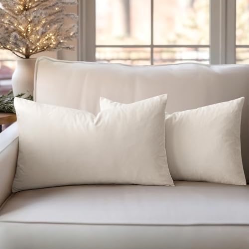 Slozzi 2er Set Samt Kissenbezüge Haushalt Dekokissen Dekorative Kissenhülle Weich Sofakissen für Sofa Schlafzimmer Wohnzimmer 30x50 cm Creme Weiß von Slozzi
