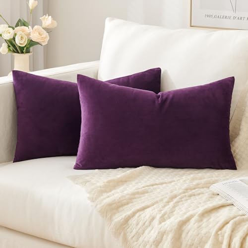 Slozzi 2er Set Samt Kissenbezüge Haushalt Dekokissen Dekorative Kissenhülle Weich Sofakissen für Sofa Schlafzimmer Wohnzimmer 30x50 cm Lila Slozzi 2er Set Samt Kissenbezüge Haushalt Dekokissen Dekorative Kissenhülle Weich Sofakissen für Sofa Schlafzimmer Wohnzimmer 30x50 cm Lila von Slozzi