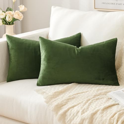 Slozzi 2er Set Samt Kissenbezüge Haushalt Dekokissen Dekorative Kissenhülle Weich Sofakissen für Sofa Schlafzimmer Wohnzimmer 30x50 cm Matcha Grün von Slozzi